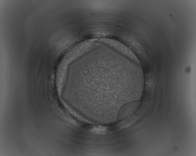 X0000091100369200708271321