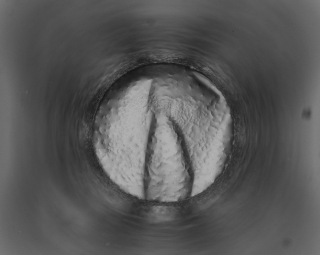 X0000091100371200708271321