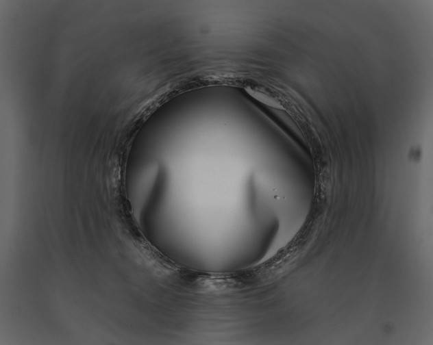 X0000091100372200708271321