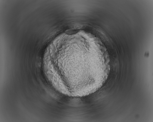 X0000091100374200708271321