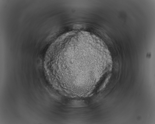 X0000091100375200708271321