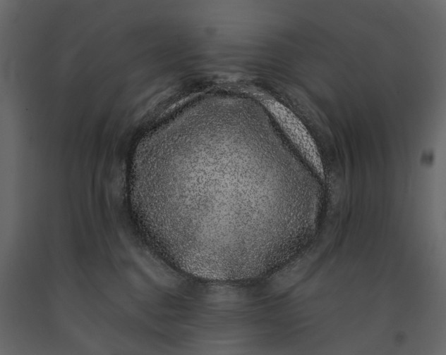 X0000091100376200708271321