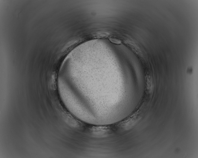 X0000091100378200708271321