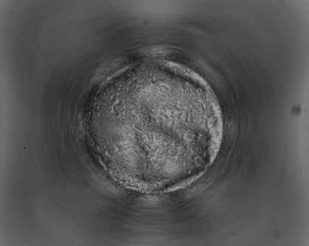 X0000091100381200708271321