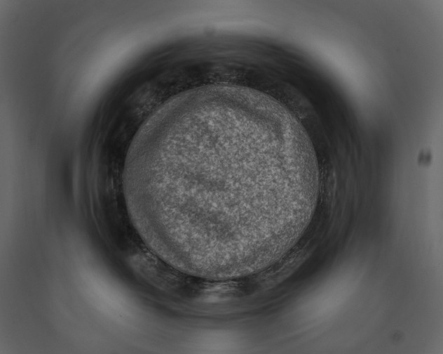 X0000091100382200708271321