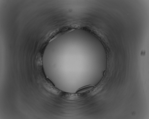 X0000091100384200708271321