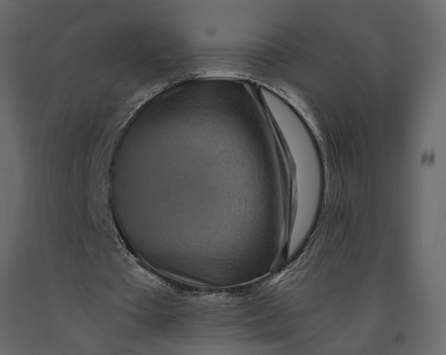 X0000091100385200708271320