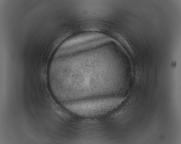 X0000091100386200708271320