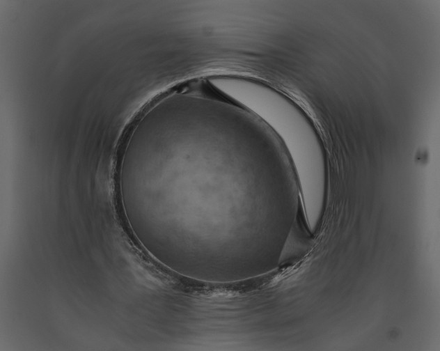 X0000091100387200708271320