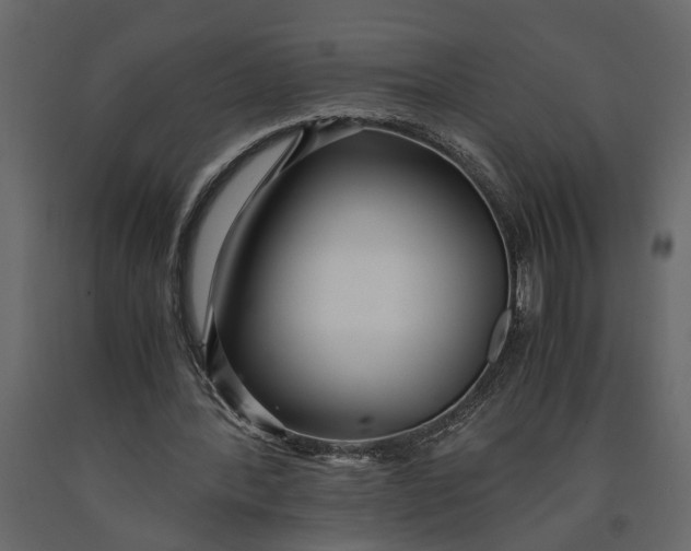 X0000091100388200708271320