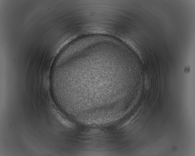 X0000091100390200708271320