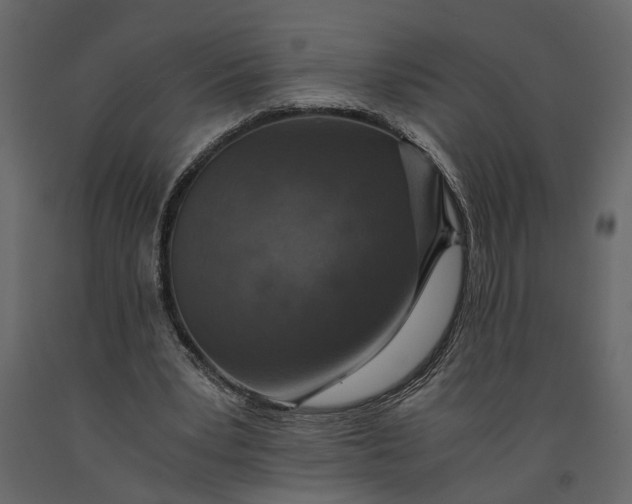 X0000091100391200708271320