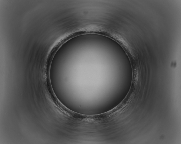 X0000091100392200708271320