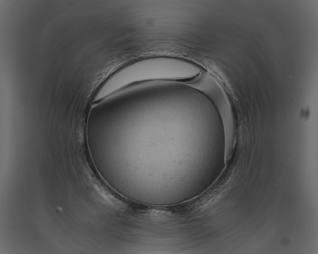 X0000091100393200708271320