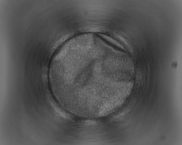 X0000091100394200708271320