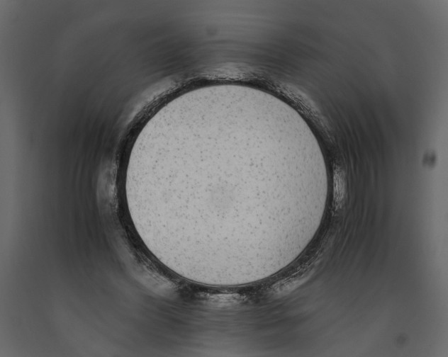 X0000091100396200708271320