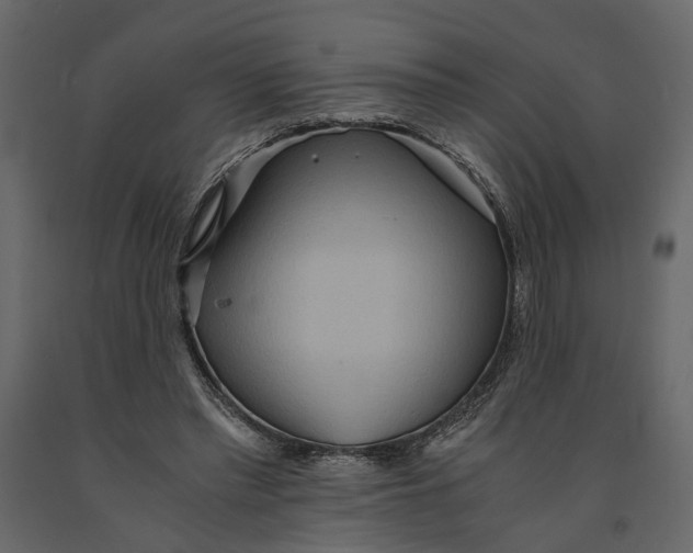 X0000091100397200708271320