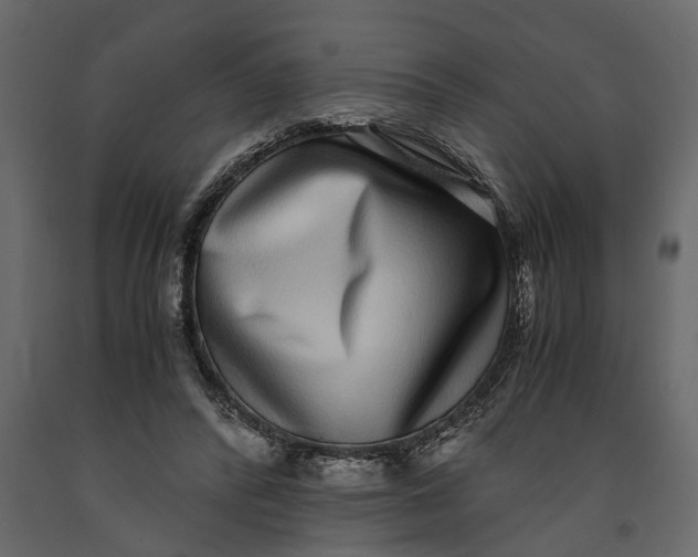 X0000091100400200708271320