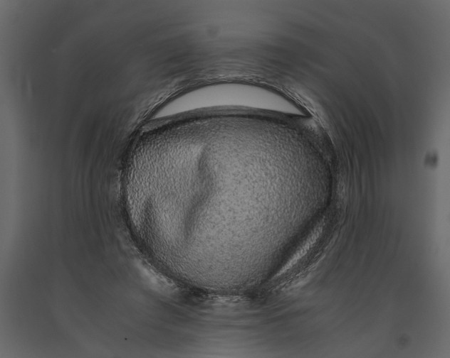 X0000091100401200708271320