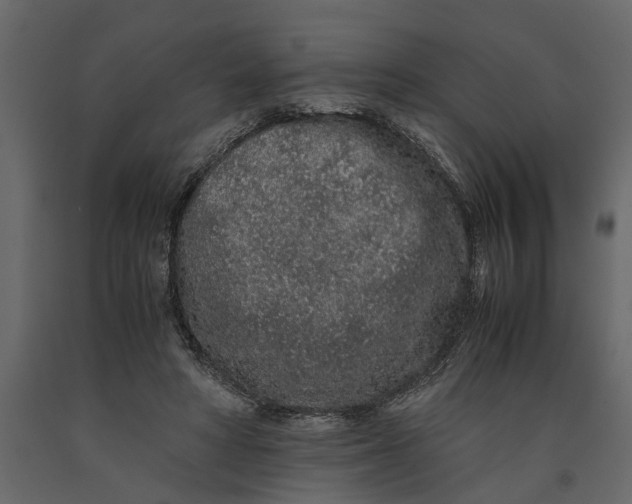 X0000091100402200708271320