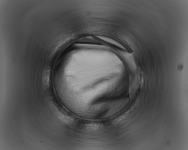 X0000091100404200708271320