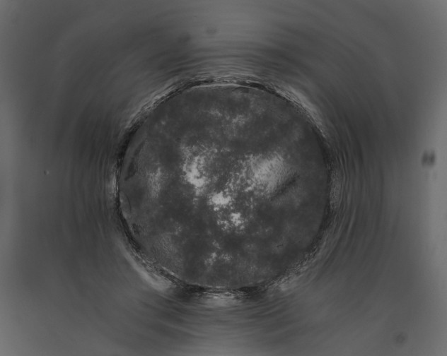 X0000091100405200708271320