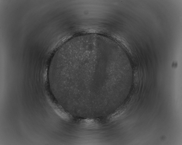 X0000091100406200708271320