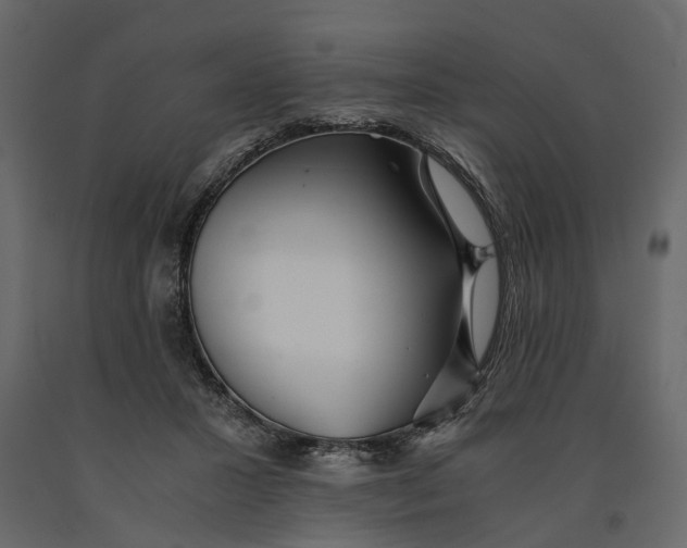 X0000091100407200708271320