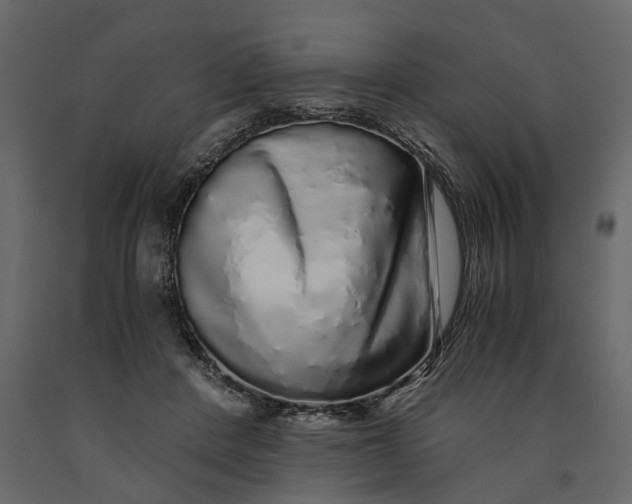 X0000091100408200708271320