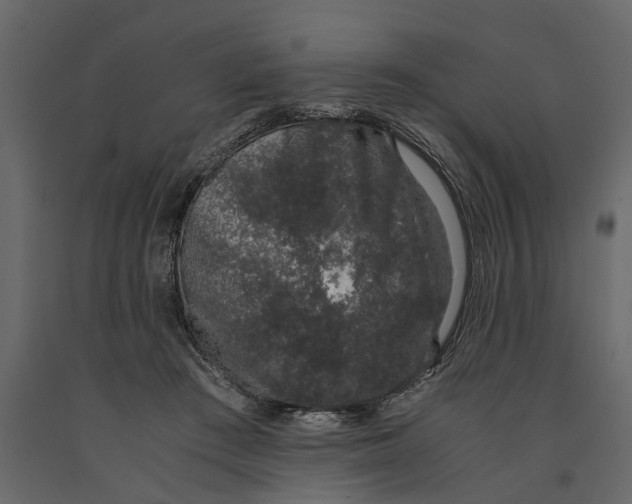 X0000091100409200708271320