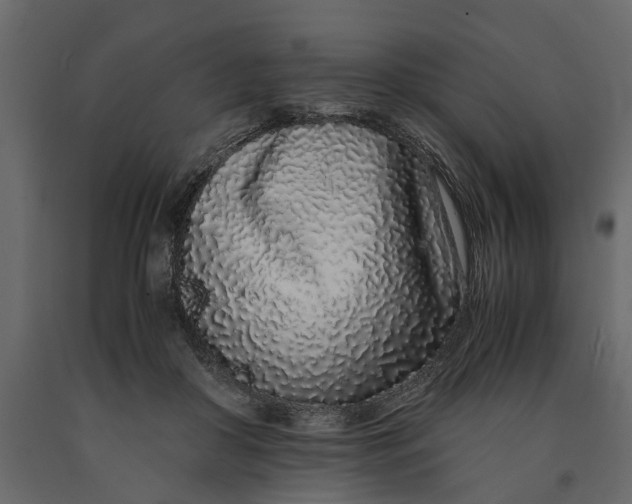 X0000091100410200708271320