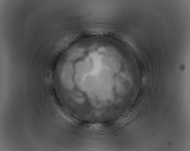 X0000091100411200708271320