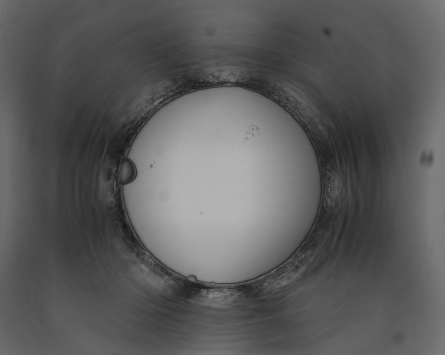 X0000091100414200708271320