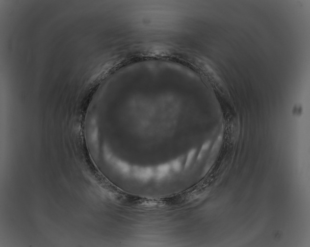 X0000091100415200708271320