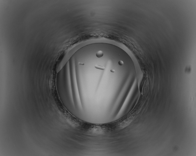 X0000091100416200708271320