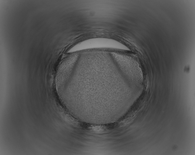 X0000091100417200708271320