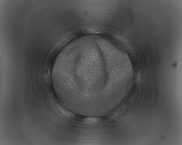 X0000091100418200708271320