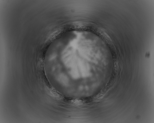 X0000091100419200708271320