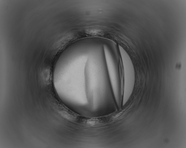 X0000091100420200708271320