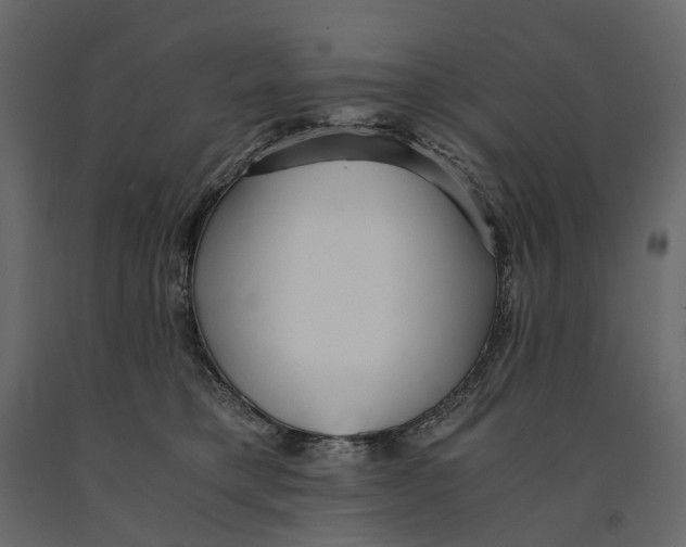 X0000091100421200708271320