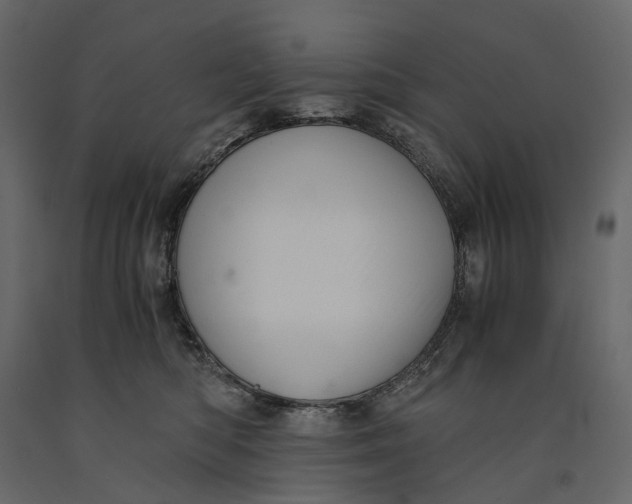 X0000091100422200708271320