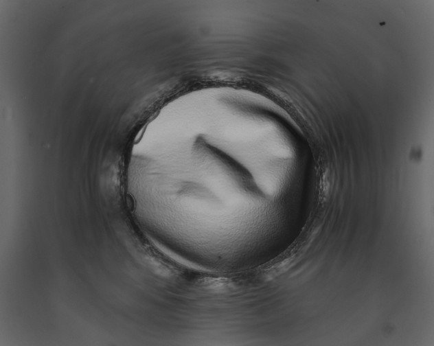 X0000091100424200708271320