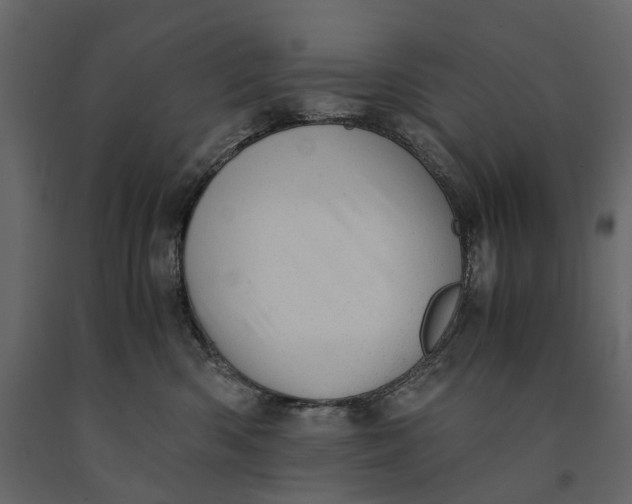 X0000091100426200708271320