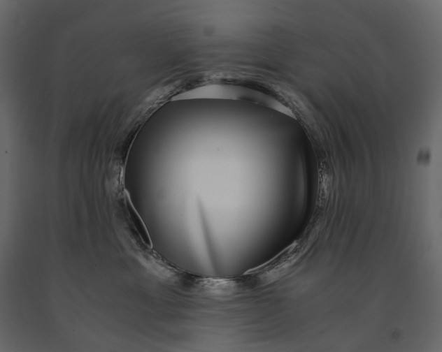 X0000091100429200708271320