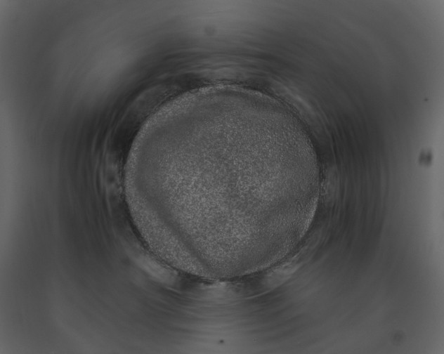 X0000091100430200708271320