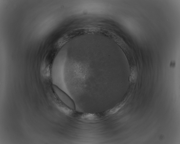 X0000091100431200708271320