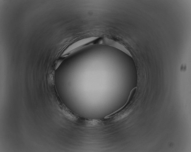 X0000091100432200708271320