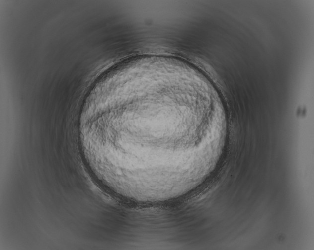 X0000091100433200708271319