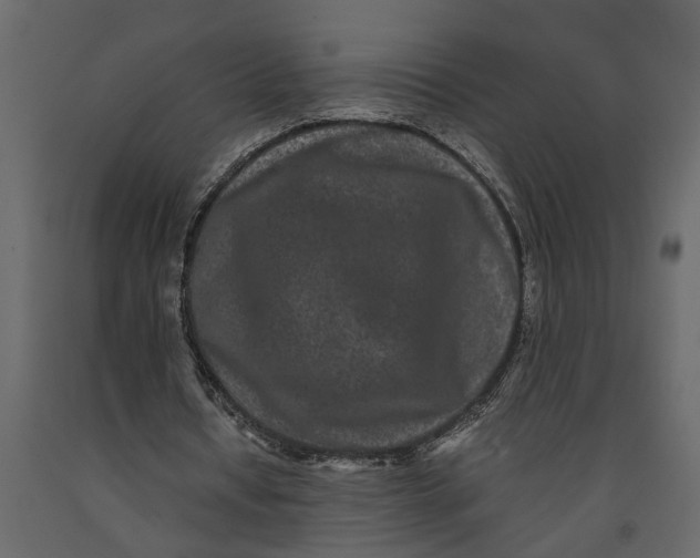 X0000091100434200708271319