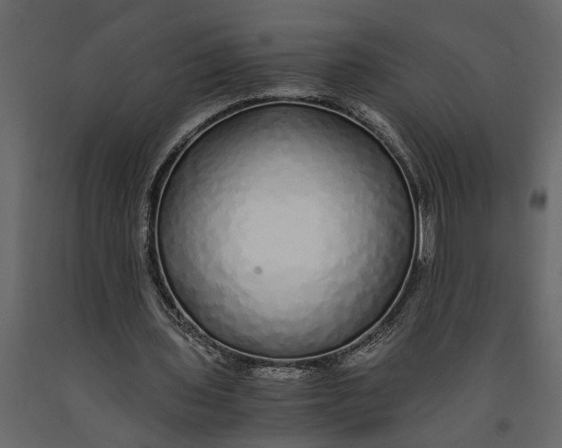 X0000091100435200708271319